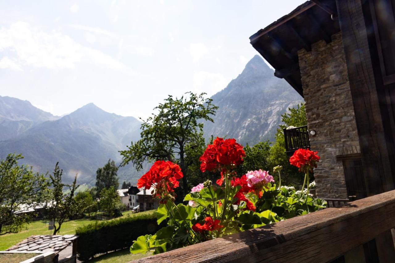 Appartement The Mountain View -